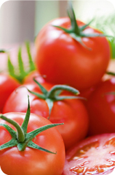 Rohkost Diaet Tomaten